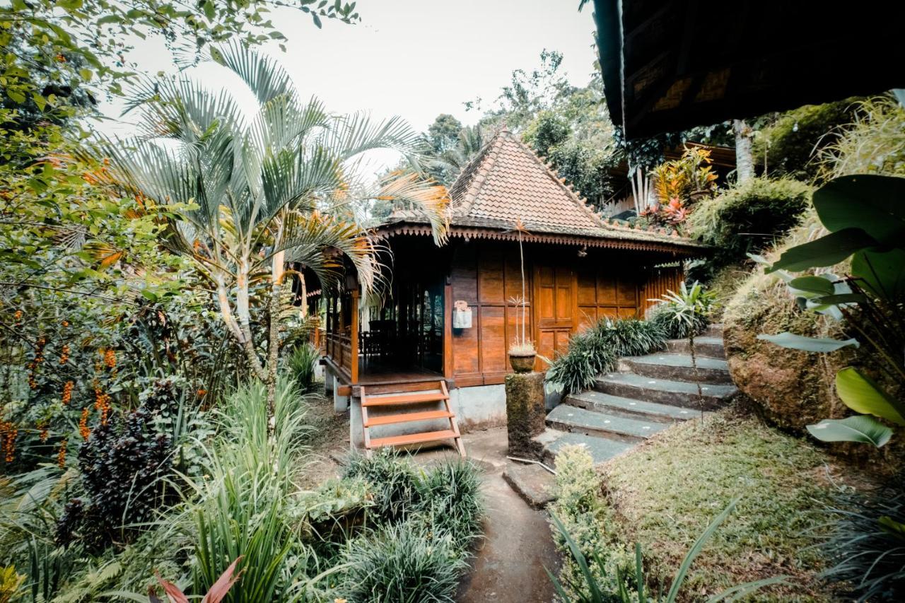 Ubud Jungle Holy Water Exterior foto