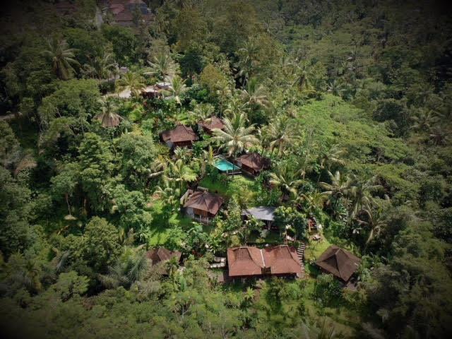 Ubud Jungle Holy Water Exterior foto