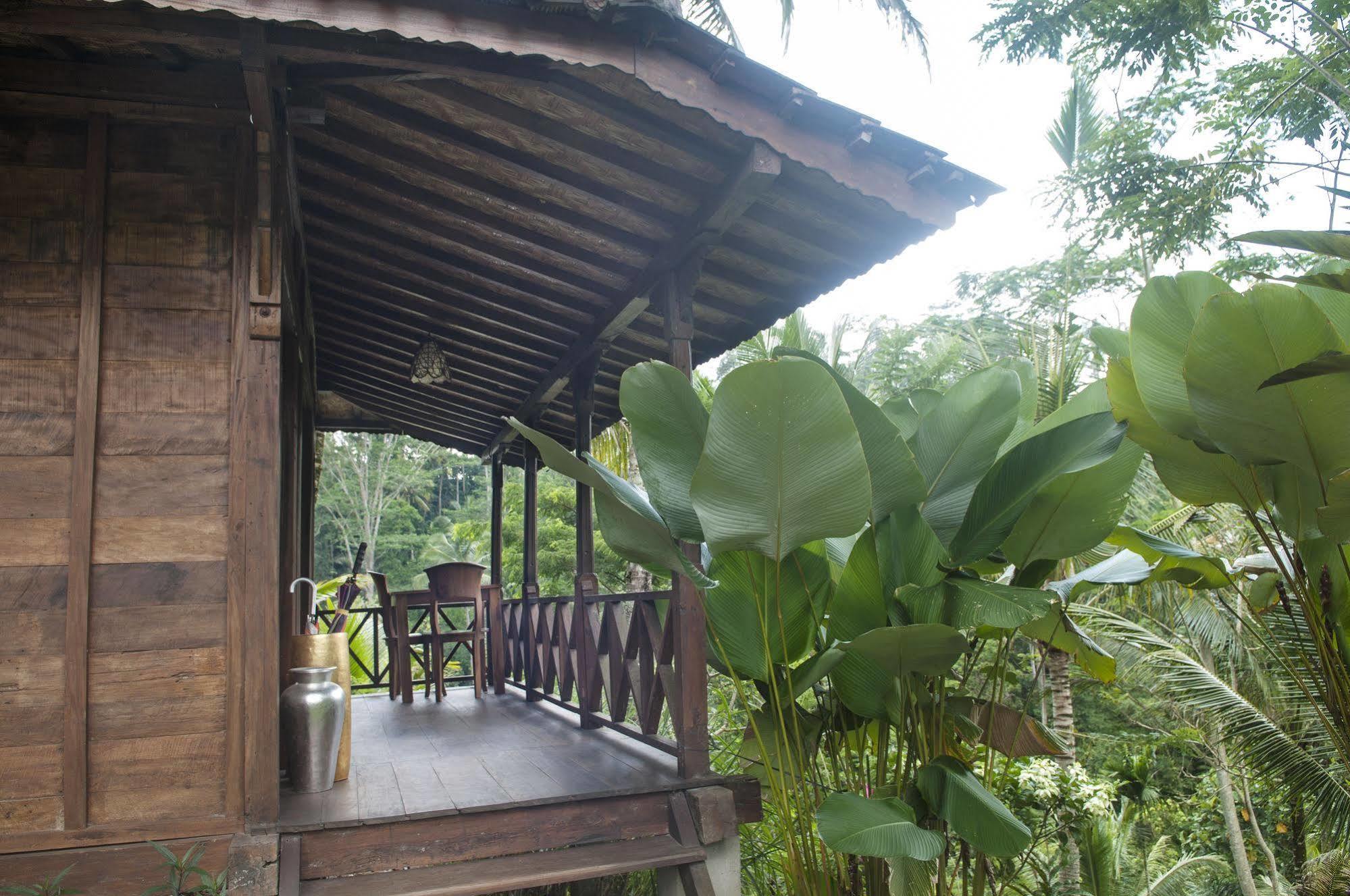 Ubud Jungle Holy Water Exterior foto